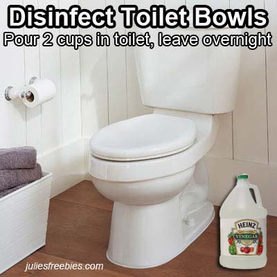 clean-toilet-with-vinegar