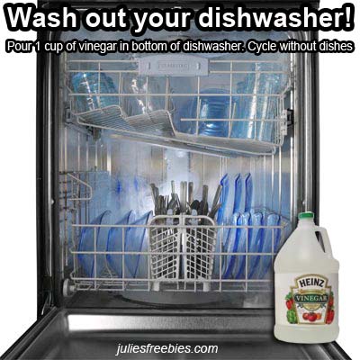 wash-out-dishwasher-with-vinegar