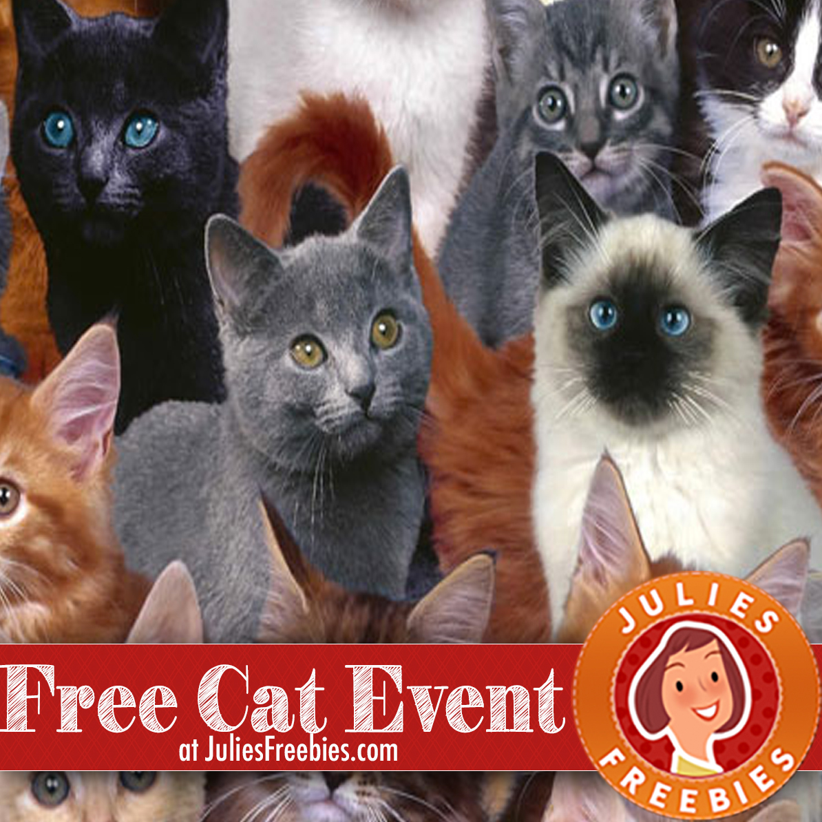 free-all-about-cats-event-at-petsmart-julie-s-freebies