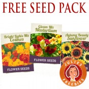 Free Flower Seeds Packet - Julie's Freebies