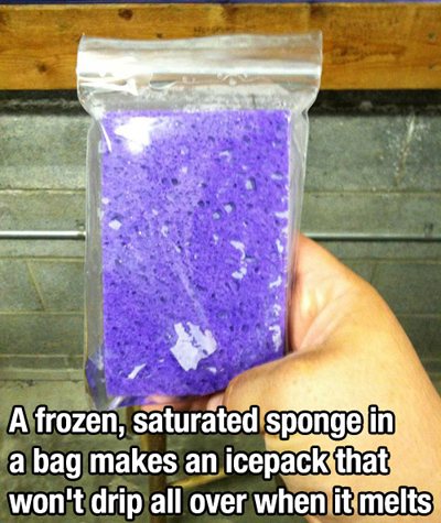 sponge-icepack