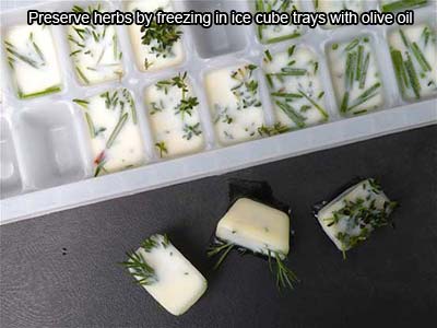preserve-herbs-freeze-olive-oil
