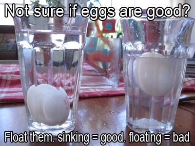 tell-if-eggs-are-good-or-bad