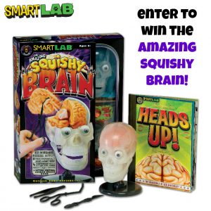 smartlab-squishy-brain