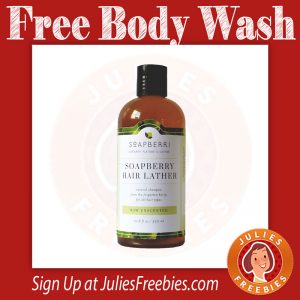 free-soapberri-body-wash