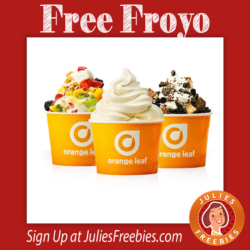 orange-leaf-froyo