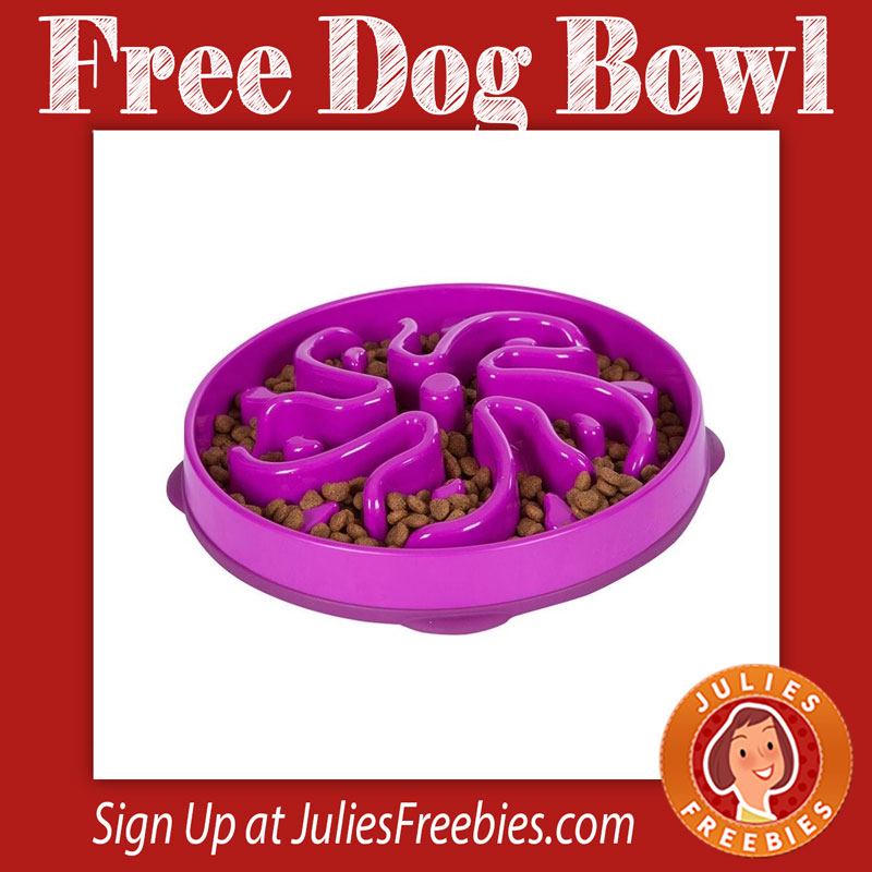 slow-feeder-dog-bowl