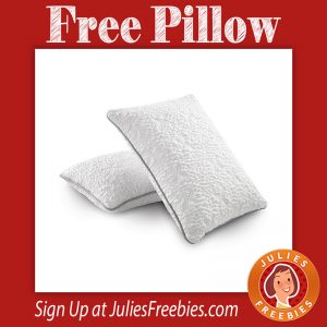 sleepnumber-pillow