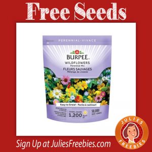 burpee-flower-seeds
