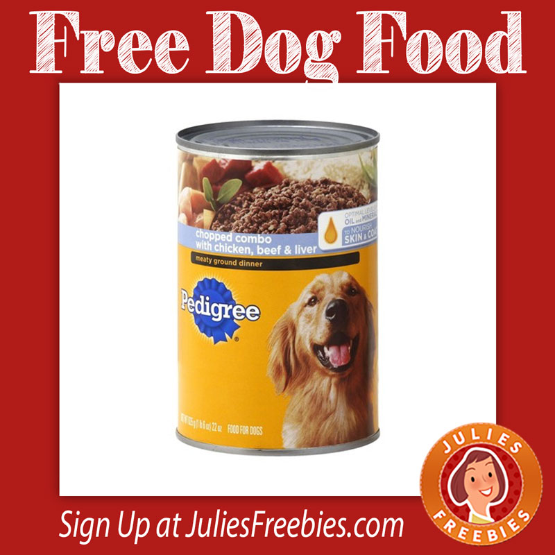 dog food storage kmart