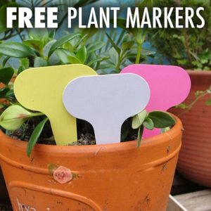 plastic-plant-markers