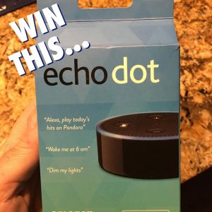 echo-dot-win