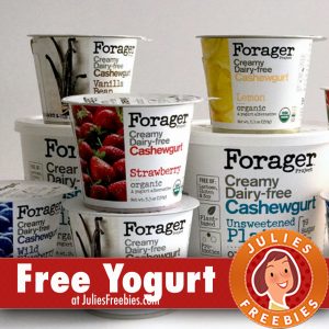foragers cashew yogurt