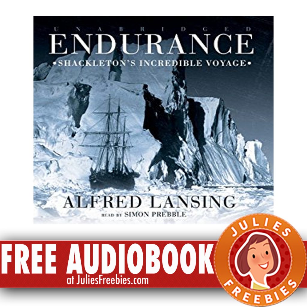 Endurance by Alfred Lansing