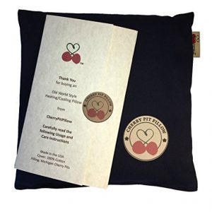 cherry pit pillow