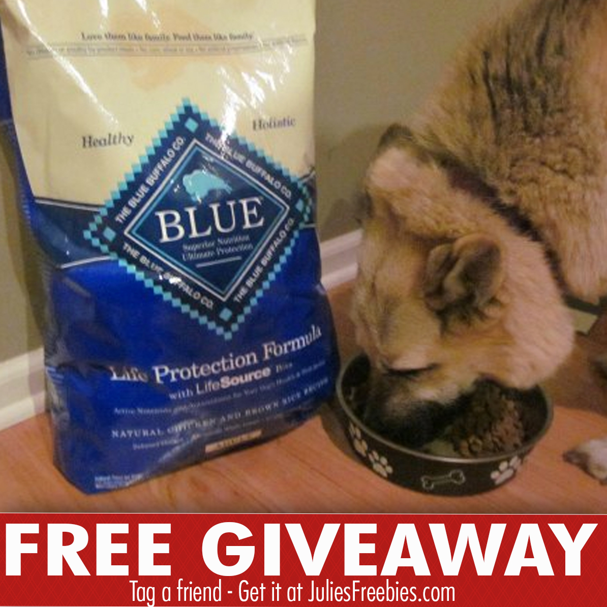 Win a 30lb Bag of Blue Buffalo Dog Food - Julie's Freebies