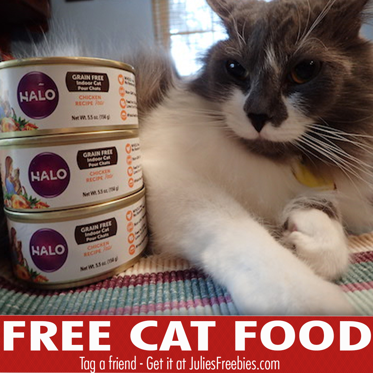 halo cat food coupon
