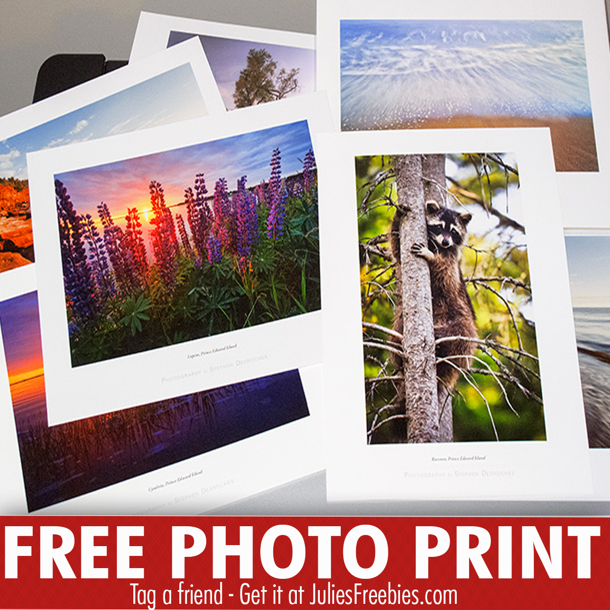 5 Free 4X6 Photo Prints At Walgreens Julie s Freebies