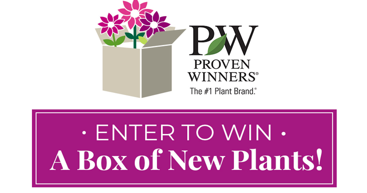 Proven Winners New Plant Giveaway Julie's Freebies