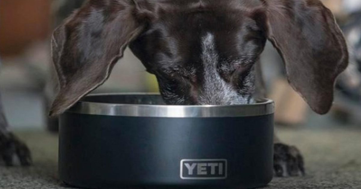 yeti dog bowl release date