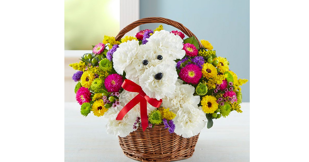 A Dog-Able Flower Basket Giveaway - Julie's Freebies