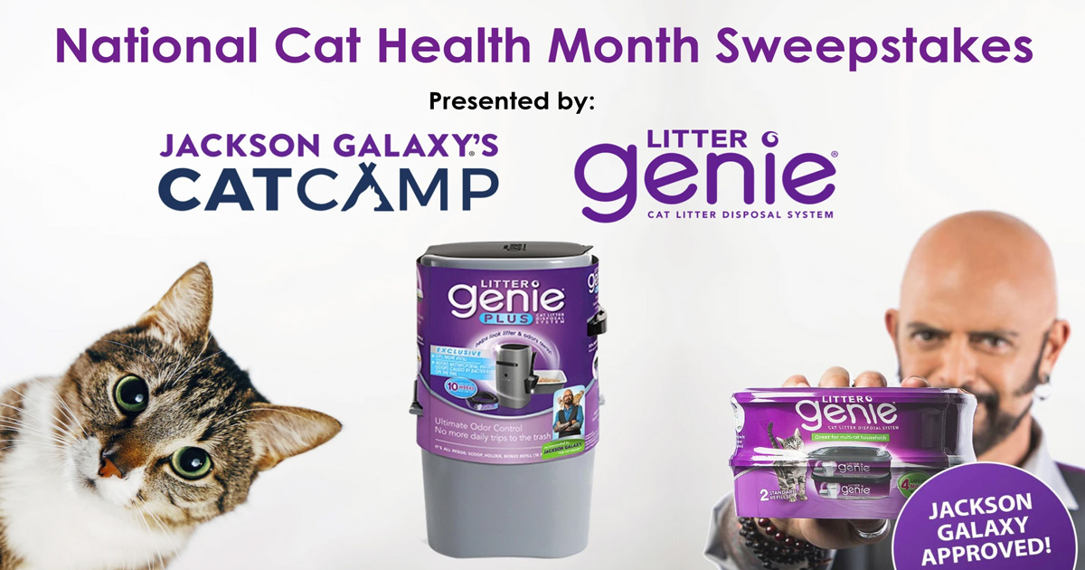 Jackson Galaxy's Cat Camp & Litter Genie® Sweepstakes Julie's Freebies