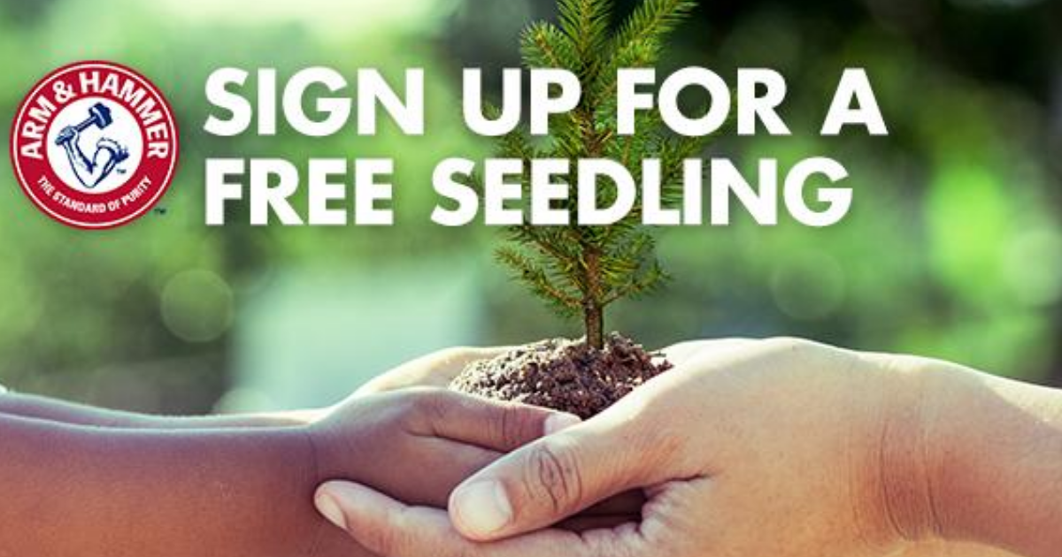 dep free tree seedlings maryland