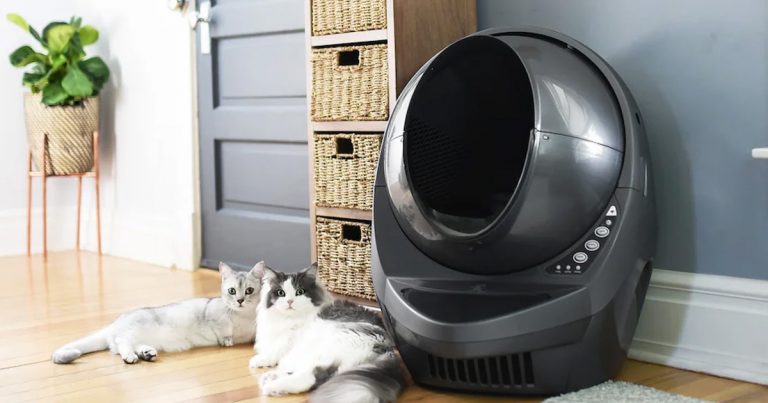 a litter robot