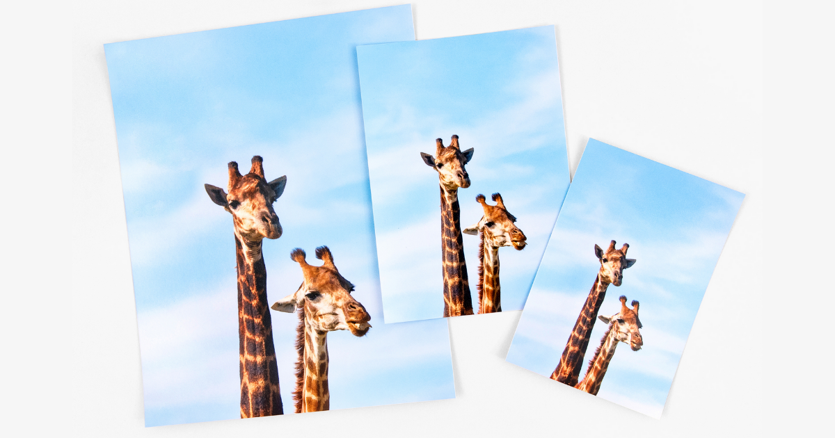 3 FREE 8X10 Photos from Nations Photo Lab - Julie's Freebies