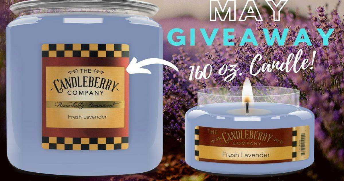 Candleberry Candle Giveaway Julie's Freebies