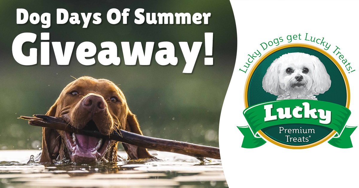 Dog Days of Summer Giveaway - Julie's Freebies