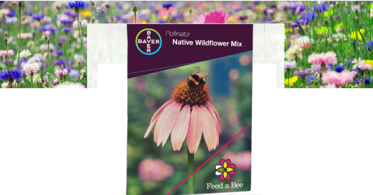 FREE Wildflower Seeds Julie's Freebies