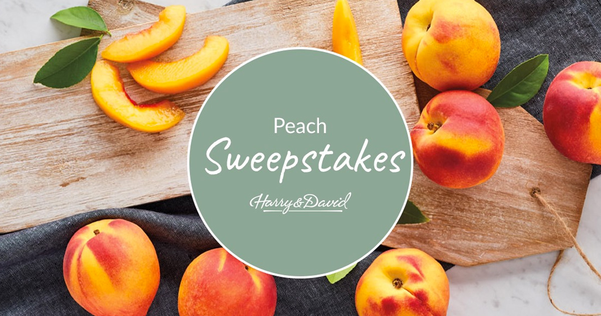 Harry & David Peach Sweepstakes Julie's Freebies