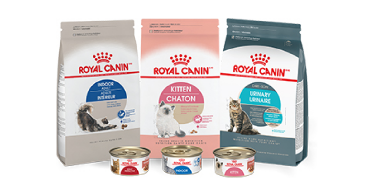 The Royal Canin #Cat2Vet Fast Giveaway and FREE Sample Offer - Julie's ...