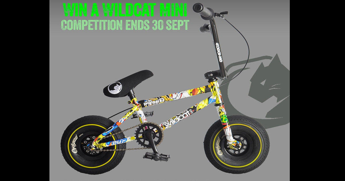 original mini bmx