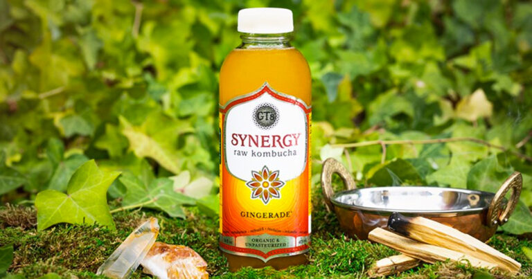 synergy raw kombucha drink benefits