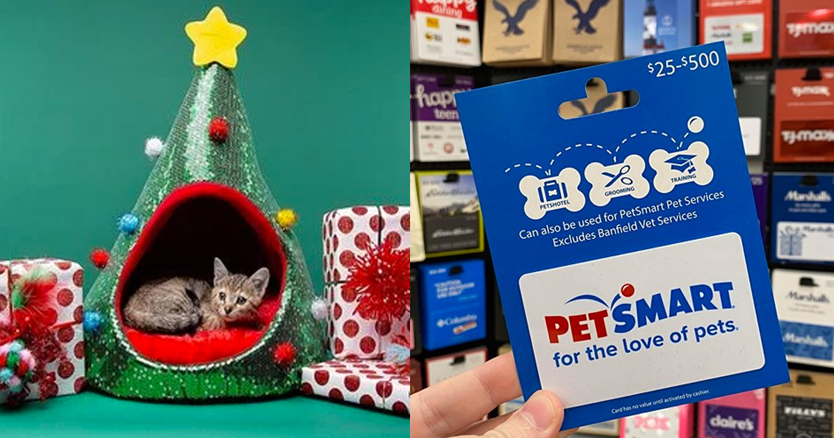 petsmart holiday plush 2020