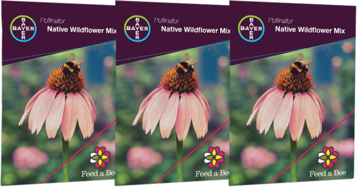 FREE Wildflower Seed Packs from Feed a Bee Julie's Freebies