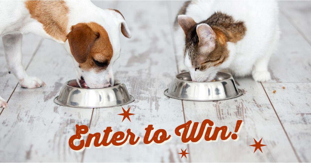 Free Pet Food Sweepstakes Julie's Freebies