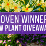 Proven Winners New Plant Giveaway