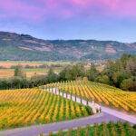 2022 Bread and Butter Napa Valley Sweepstakes