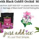 Just Add Ice Orchids Giveaway