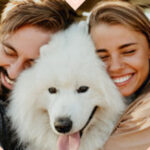 All You Need is Love & Dogs Giveaway