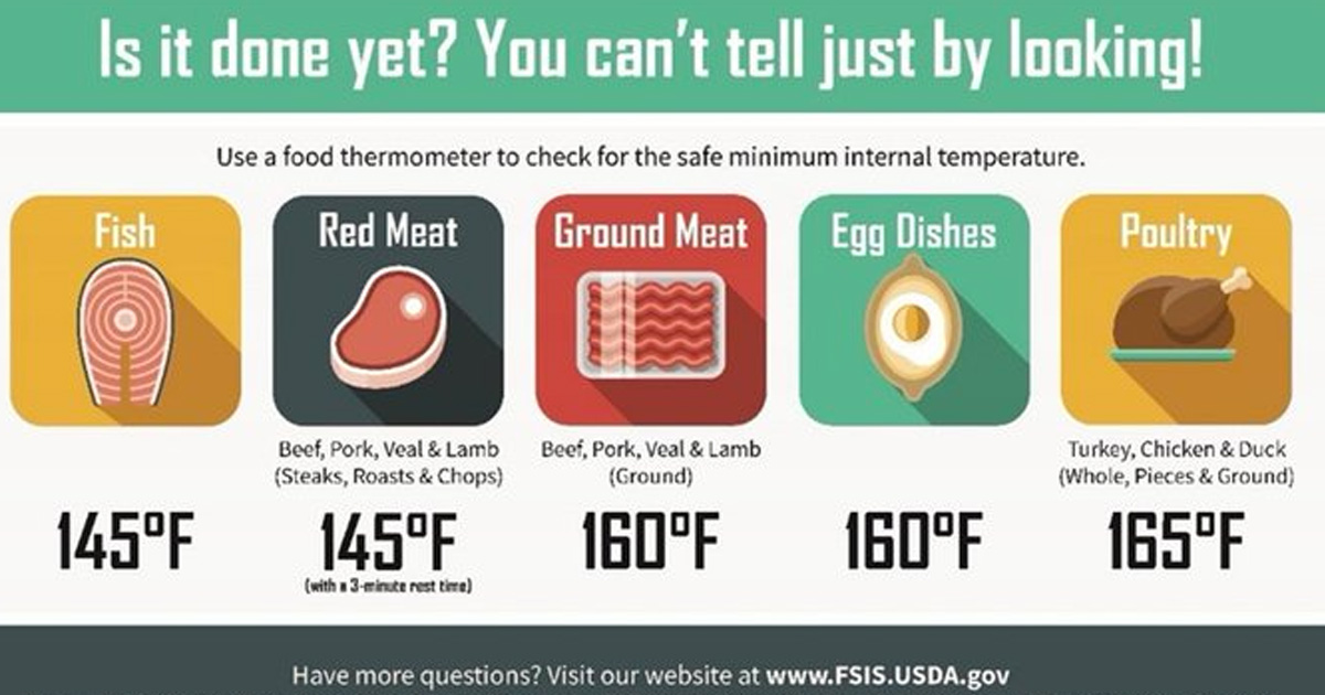 Free Internal Cooking Temperatures Fridge Magnet - Julie's Freebies