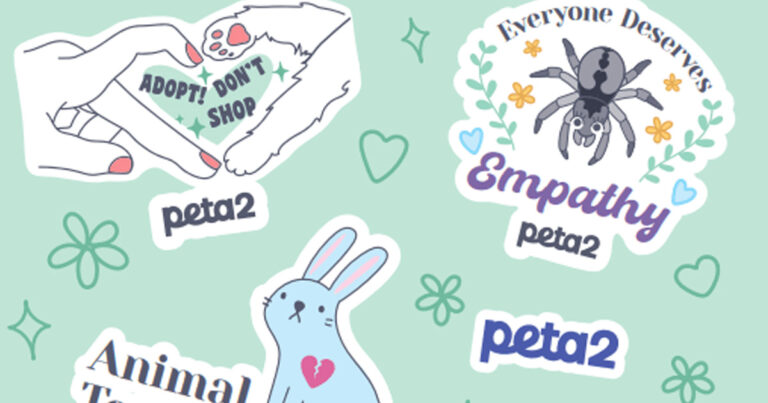 free-animal-rights-stickers-julie-s-freebies