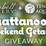 https://juliesfreebies.com/wp-content/uploads/2023/05/Sunbelt-Bakery-Chattanooga-Weekend-Getaway-Giveaway-150x150.png